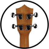 Amahi UK210C Mahogany Ukulele Concert W/ Bag