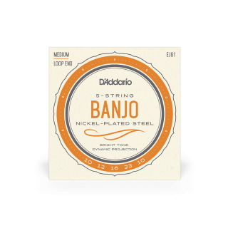 Daddario Banjo String Set Nickel Medium