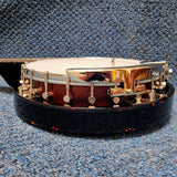 NEW Savannah SB100 5-String Resonator Banjo