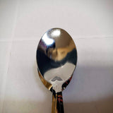 NEW Trophy Spoons w/ Handle - Hand Percussion Instrument