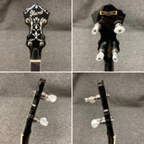 Ibanez B300 Resonator Banjo