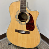 Fender DG200SCE Natural