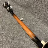 Ibanez B300 Resonator Banjo